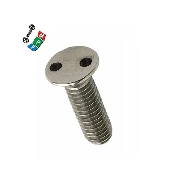 screw head with two holes