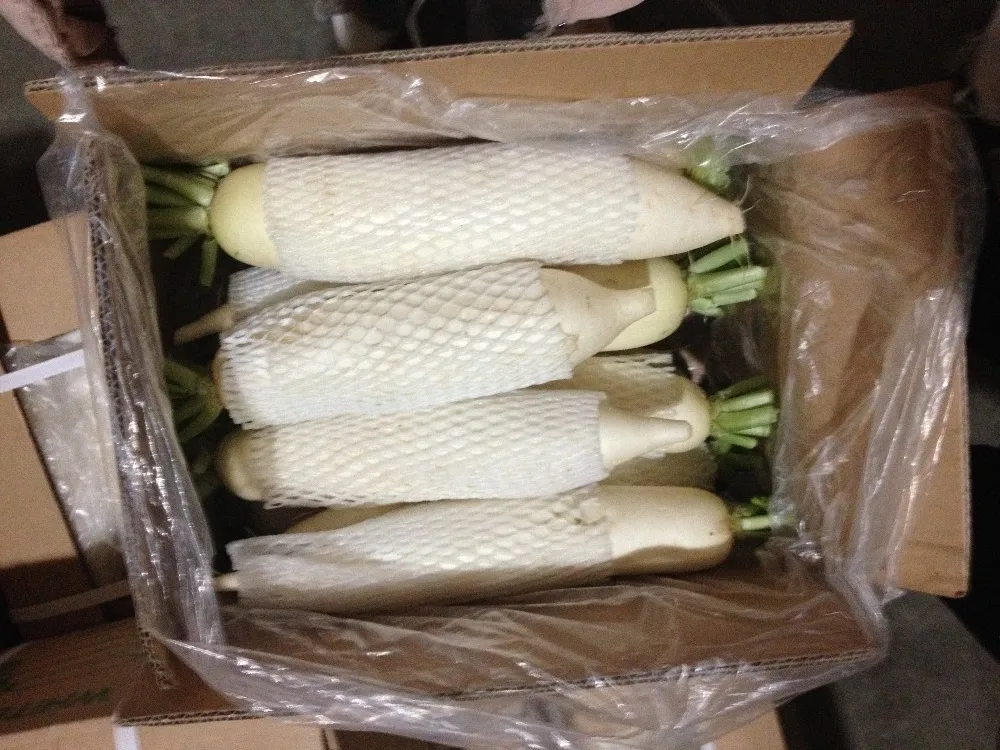 great deal of fresh white radish from 12 year experienced