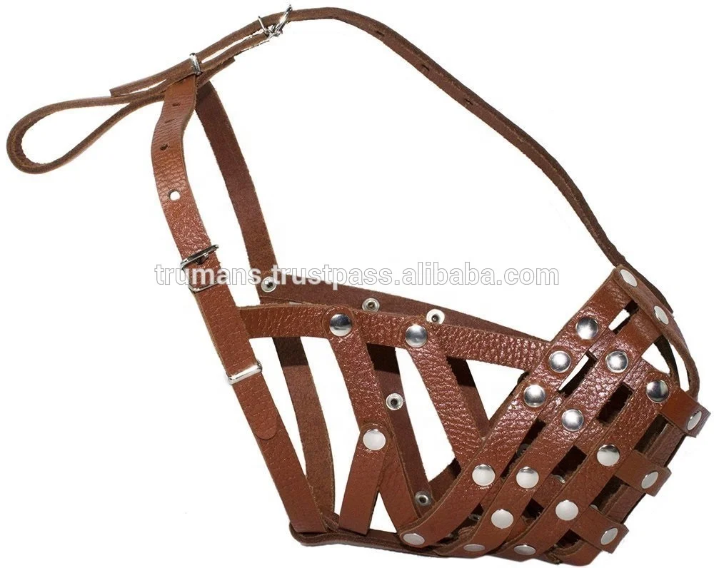 Muselière cuir Tour museau 30 cm pour chien