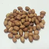 Premium Quality A Grade Peanut for Export