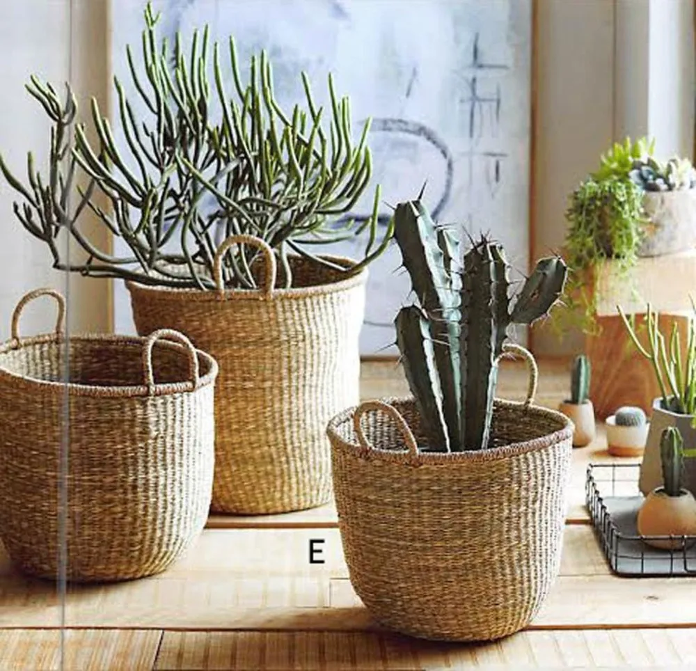 ????????? ?????? Seagrass ?????? ????????? ?????? ?????????,Seagrass ?????? ????????? ?????? ????????? Buy Seagrass ?????????