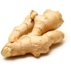 High Quality New Crop Fresh Ginger-for Sale