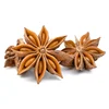 Dried Star Aniseed/Anise seeds with stems spices price in herb