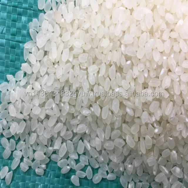 JAPONICA 2% BROKEN 23.jpg