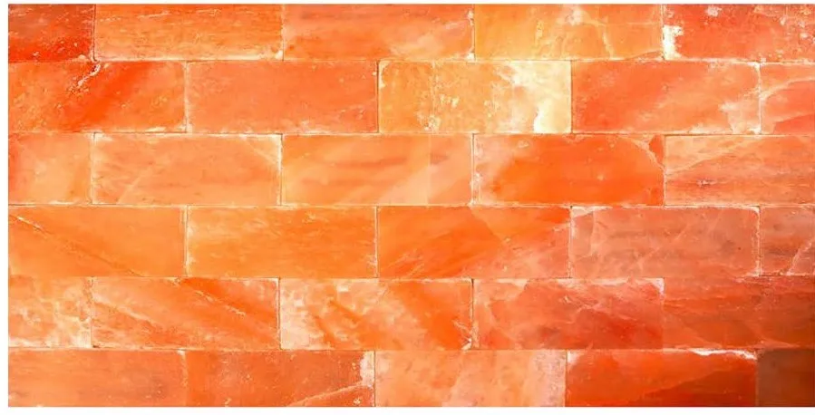 Himalayan Salt Wall Panel.jpg