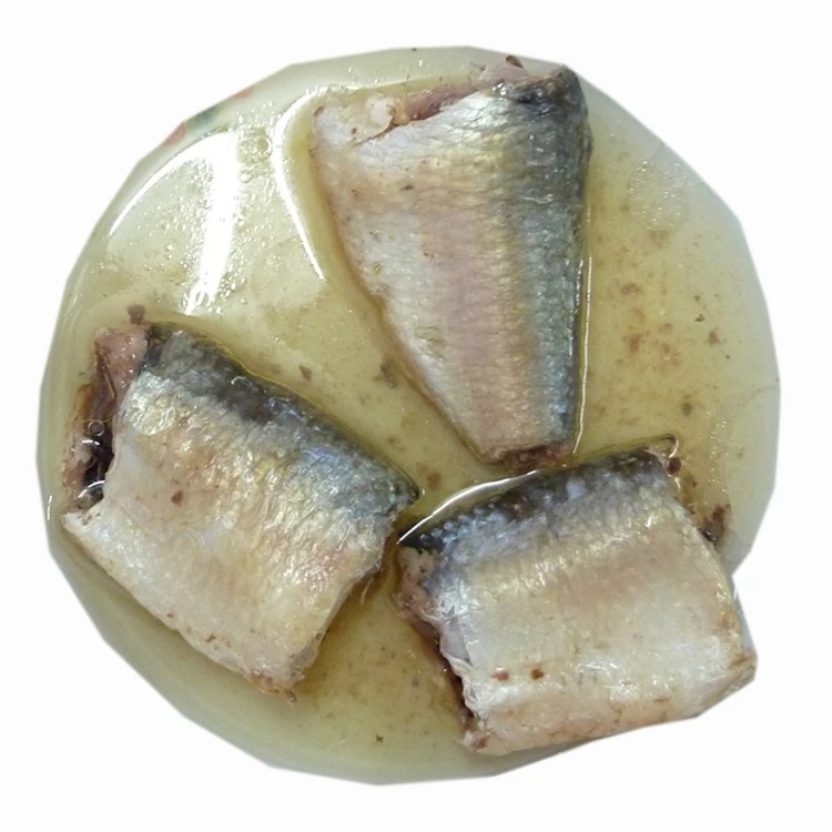 sardine 13