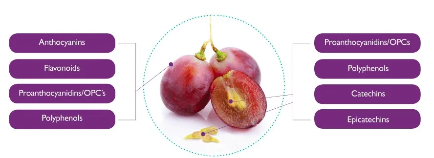 Premium Y Ricos En Antioxidantes Sabor Y Sabor Prensado En 5 kg de semillas de uva naturales prémium sueltas para