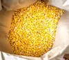 Whole Yellow Corn/Maize for Bulk Orders