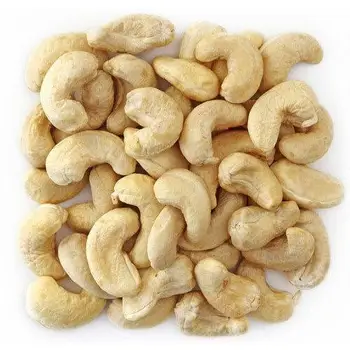 raw cashew nuts india