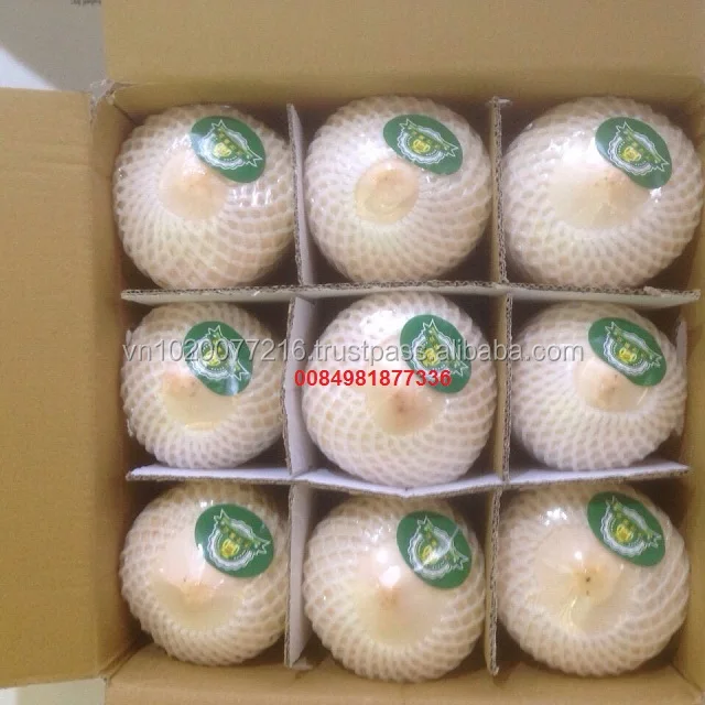 Whole Fresh Young Coconut For Export,Cheap Fresh Coconuts Buy Whole