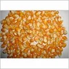 Dry Maize/Dried Yellow Corn/Dried Sweet Corn Best Price Competitive Price