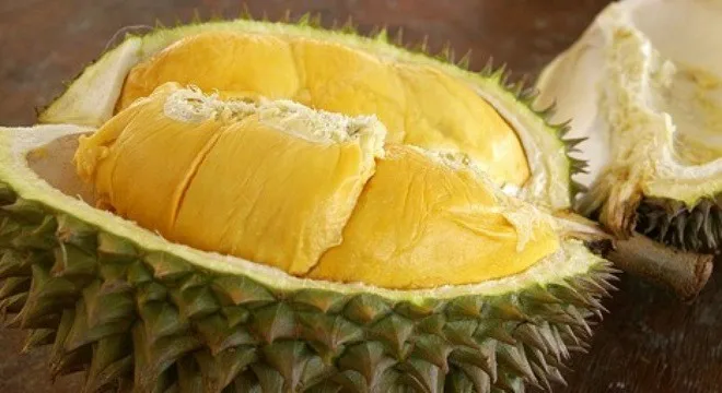 Fresh Durian - Fresh Durian Fruit From Vietnam/ Unique Taste/ Delicious ...