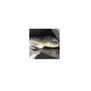 SGS Certified Frozen Mahi Mahi Fish W/R for sale