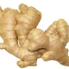 market prices for wholesale chinese fresh ginger