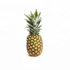Indian Fresh Premium Quality Pineapple / Indian Fresh Pineapple