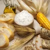 Food Grade manufacture Corn Starch for Sale