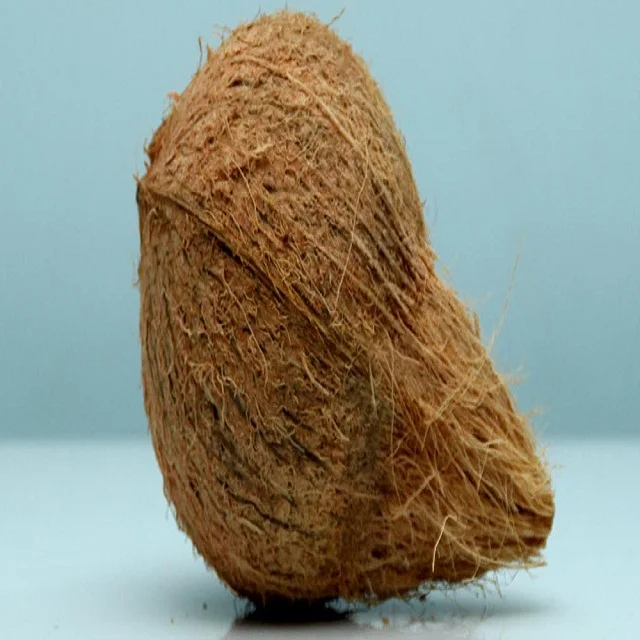 coconut semi husked