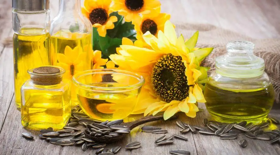 Cold Pressed Sunflower Oil 100 Natural From Manufacturer Wholesale And