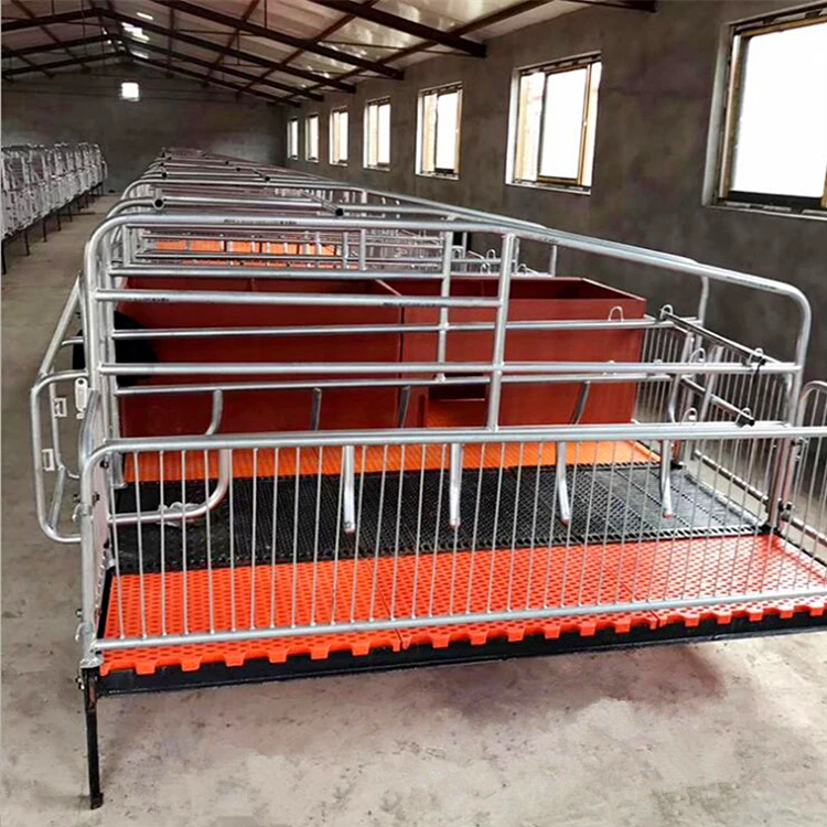 Adjustable High Quality Easy Clean Piggery Farming Equipment Used