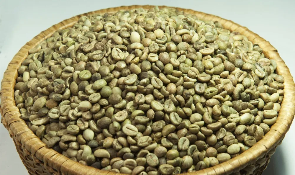 Robusta Green Coffee Bean Whatsapp +84 845 639 639 Buy Coffee Green