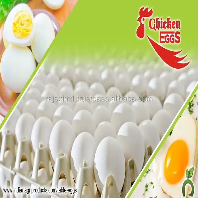 white egg wholesalers