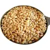 Indian First Quality Milling Wheat High Quality