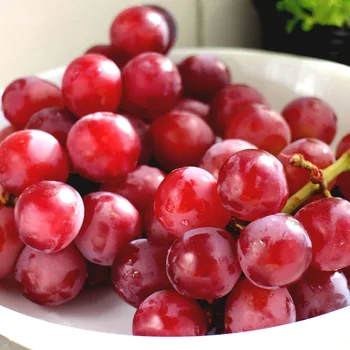 63+ Gambar Anggur Red Globe Terbaik 63+ Gambar Anggur Red Globe Terbaik