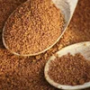 Coconut Palm Sugar