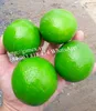 FRESH LIME & FRESH LEMON BEST PRICE AND GOOD QUALITY +84984418844 whatsapp