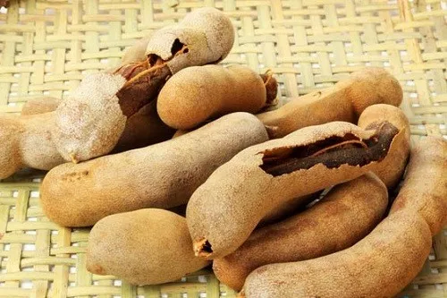 Tamarindo Maduro Al Por Mayor Fruta Fresca De Tamarindo De La Mejor Calidad De Vietnam Buy Tamarindo Tamarindo Dulce Tamarindo Exportacion Product On Alibaba Com