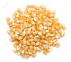 Yellow Corn/Maize for Animal Feed / Yellow Corn For Poultry Feed