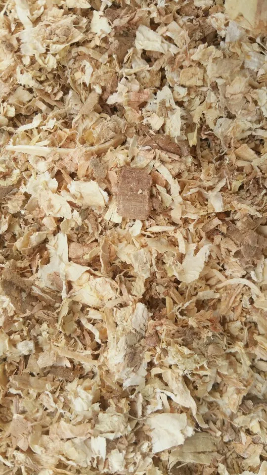 Pine Wood Shavings For Horse Bedding,Origin Viet Nam Buy Wood