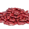 Large White Kidney Beans