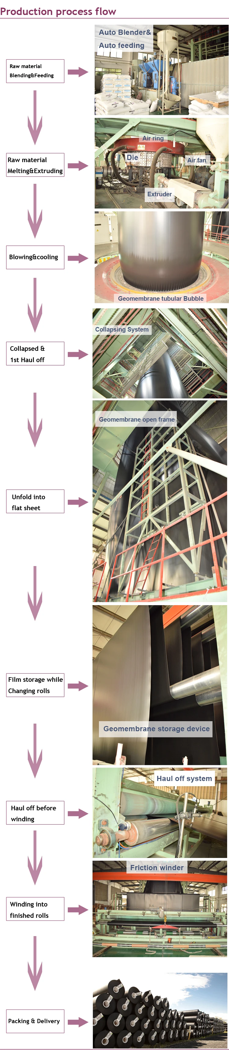 detailed images-2.jpg