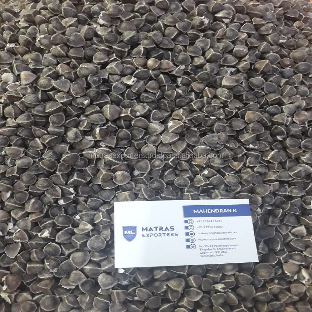 Wingless Moringa 3