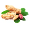 FRESH QUALITY RAW PEANUTS NUTRITION WITH BEST PRICE