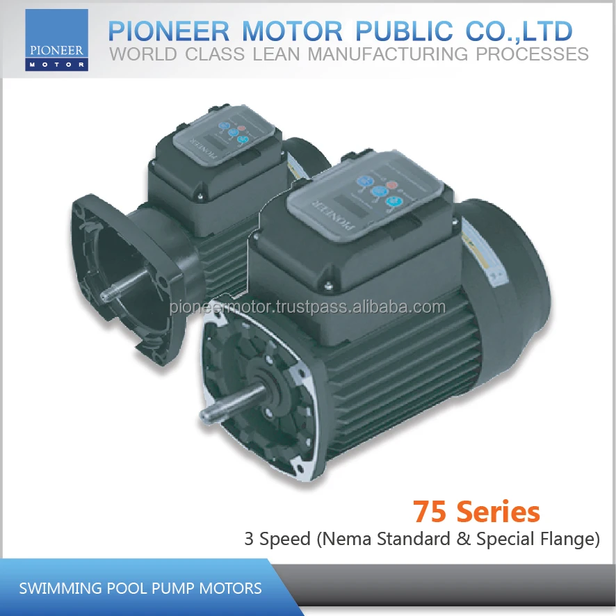 pool and spa pump motors