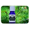 Pine Oil Original Fragrance