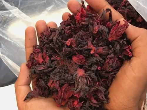 dried-hibiscus-flower-good-quality-dried-flower-for-health-2020-84