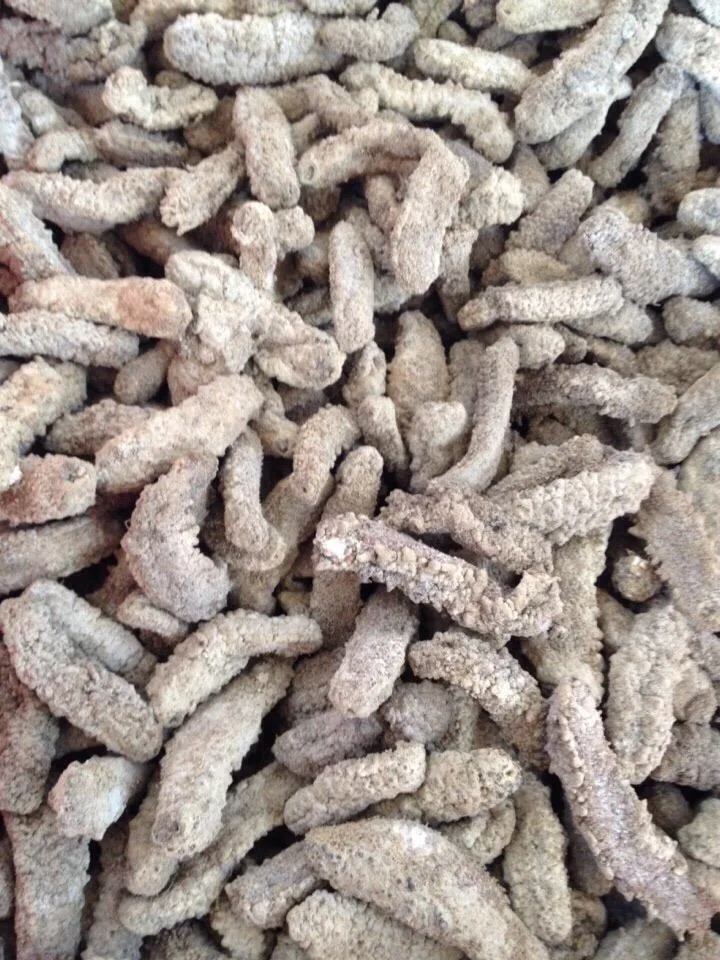 Supply Dried Sea Cucumber High Quality Buy Dried Sea Cucumber