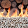 Wood Pellet