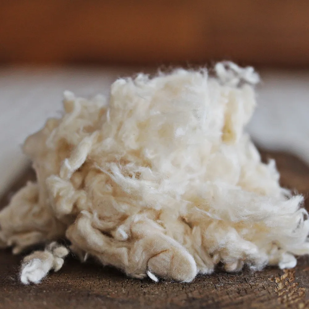 Natural Kapok Fiber Buy Kapok Fiber,Natural Kapok Fibre,Pure Kapok