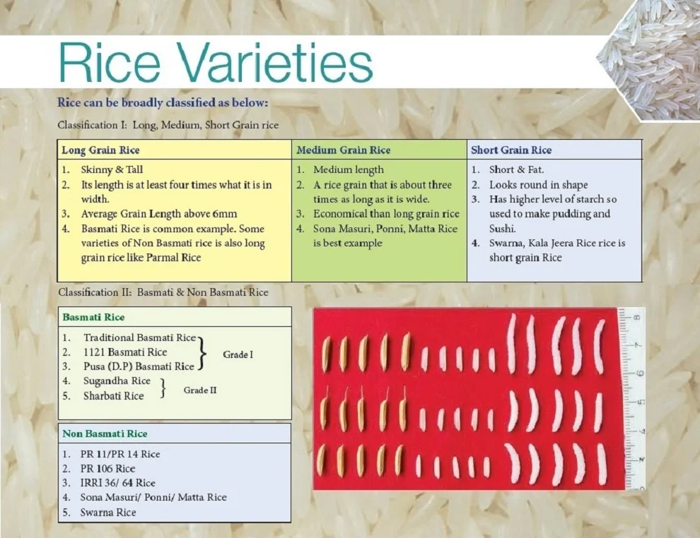 rice varieties.jpg
