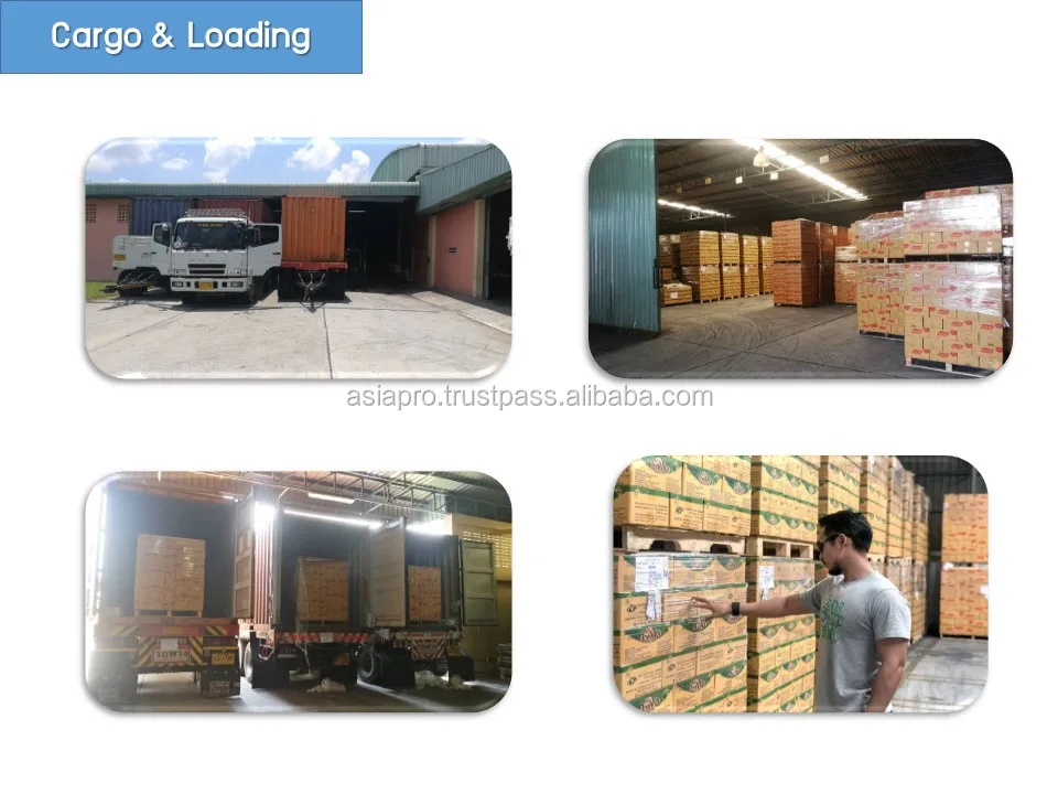 Cargo and loading.jpg