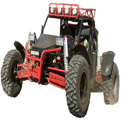 500CC 4X4 buggy/hors route buggy/cee aller kart