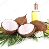 Young big Size Mature Semi Husked Coconut
