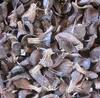 Cheap Palm Kernel Shell
