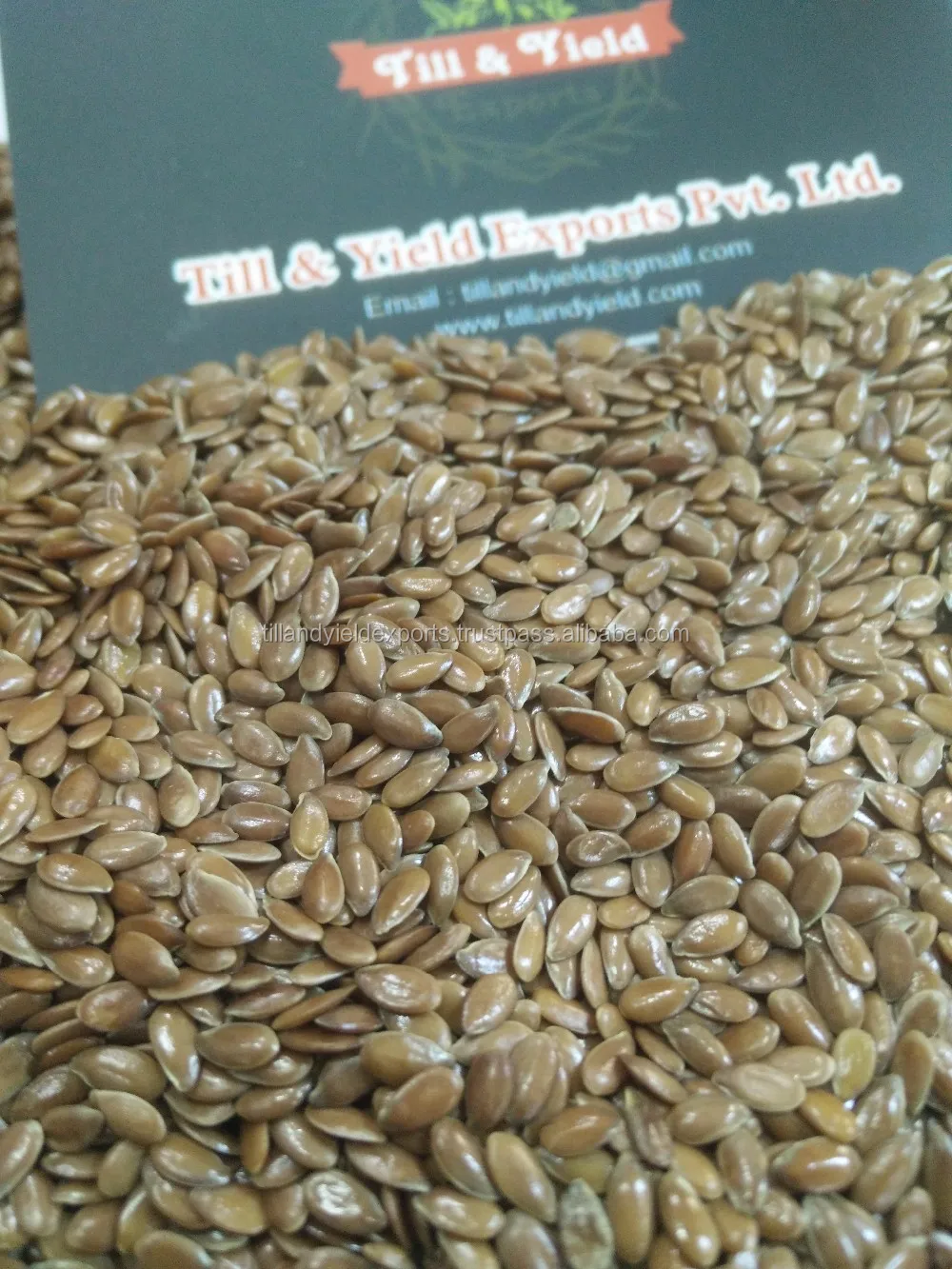 Flax/lin Seed Buy Organic Flax Seeds,Specification Flax Seed,Flax
