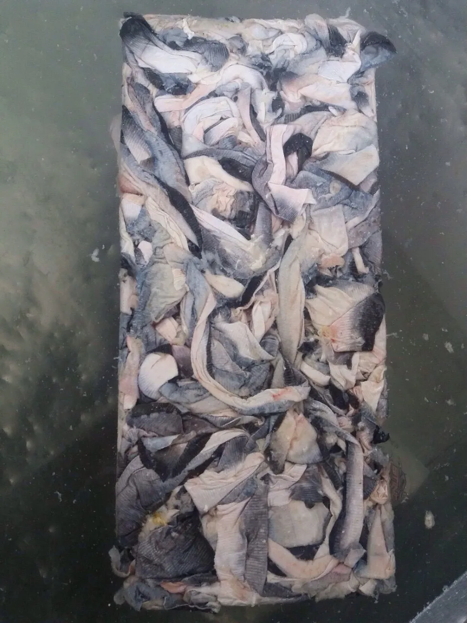 Wholesale Dried Fish Skin Frozen Fish Skin For Collagen Industry Whatsapp 84 378 464 463 ms 
