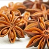 Star Anise best quality origin Vietnam
